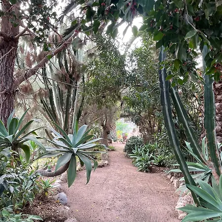 Bergfincahaeuschen Casa de Férias Santa Cruz de Tenerife