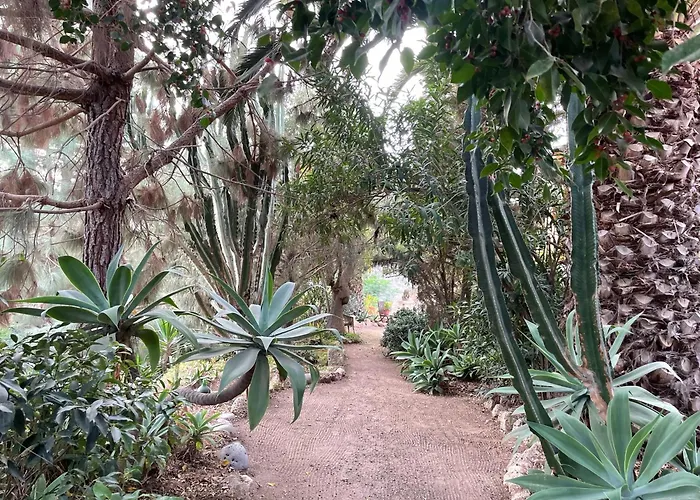 Bergfincahaeuschen Casa de Férias Santa Cruz de Tenerife